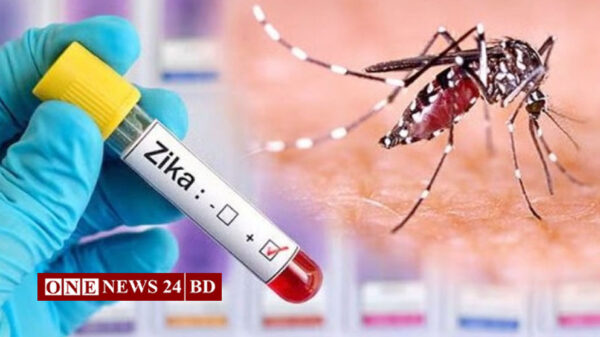 দেশে প্রথমবারের মতো জিকা ভাইরাসের ‘ক্লাস্টার’ শনাক্ত, আক্রান্ত ৫