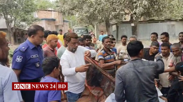 নওগাঁয় গাছ কাটাকে কেন্দ্র করে দুই পক্ষের সংঘর্ষে নিহত ২, আটক ১০