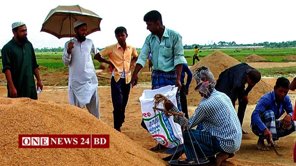নিকলীতে বোরো সংগ্রহ শুরু