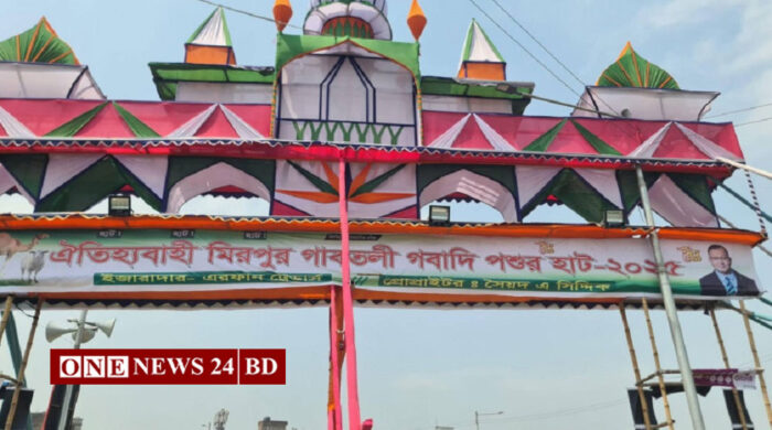 শেষ সময়ে গরুর হাটে ভিড়, ছোট-মাঝারি গরুর সংকট