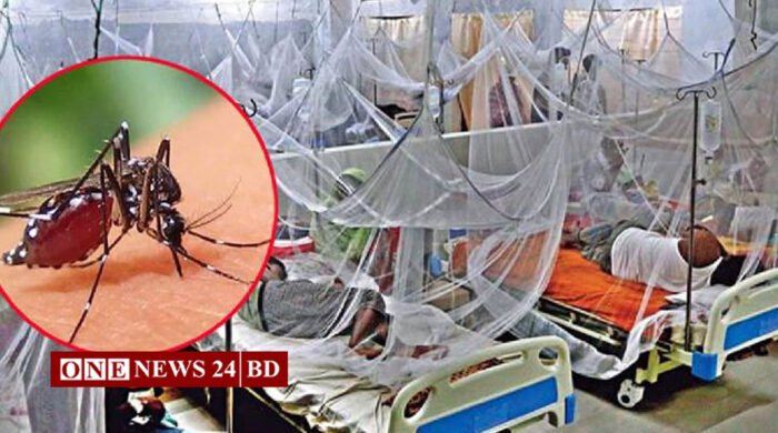 ডেঙ্গুতে আরও ২ জনের মৃত্যু, ৩২৬ জন হাসপাতালে ভর্তি