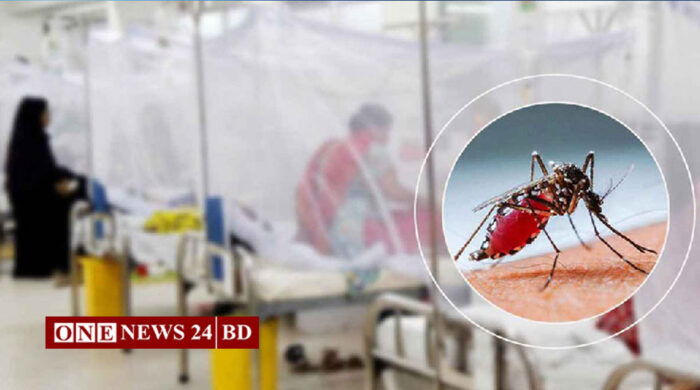 ডেঙ্গুতে আরও দুই জনের মৃত্যু, আক্রান্ত ১৯৫