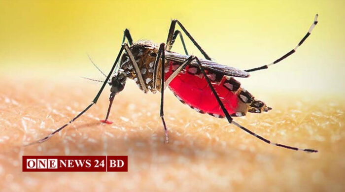 ডেঙ্গুতে আরও ২ জনের মৃত্যু, হাসপাতালে ভর্তি ১৫৯