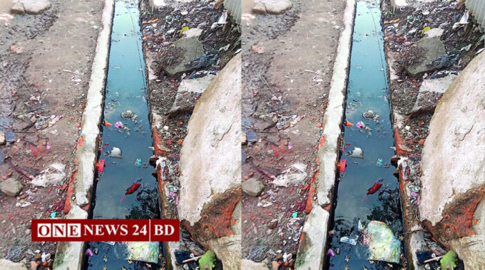 তাড়াইল বাজারের ড্রেনে ময়লার স্তূপ, মশার উপদ্রবে জনস্বাস্থ্য হুমকিতে