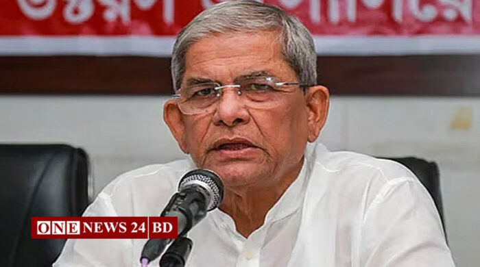 দেশে গণতন্ত্র নেই বলেই আইনশৃঙ্খলা পরিস্থিতির অবনতি হয়েছে : মির্জা ফখরুল