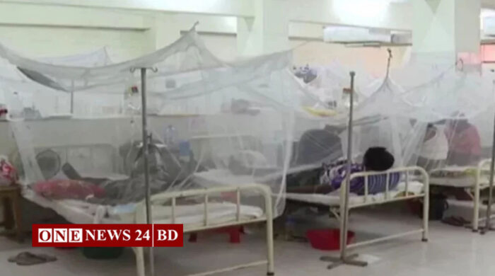 ডেঙ্গুতে ২৪ ঘণ্টায় ৩ মৃত্যু, হাসপাতালে ভর্তি ৪৯২