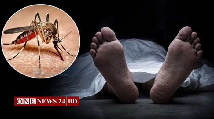 ডেঙ্গুতে আরও ৫ জনের মৃত্যু, হাসপাতালে ভর্তি ৩১১ জন