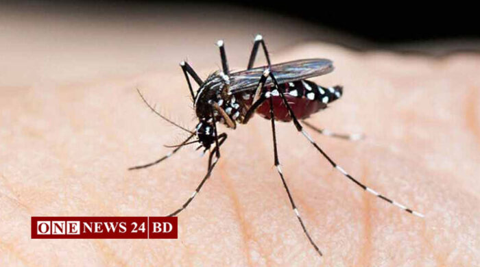 ডেঙ্গুতে আরও ৪ মৃত্যু, হাসপাতালে ৫৬৮