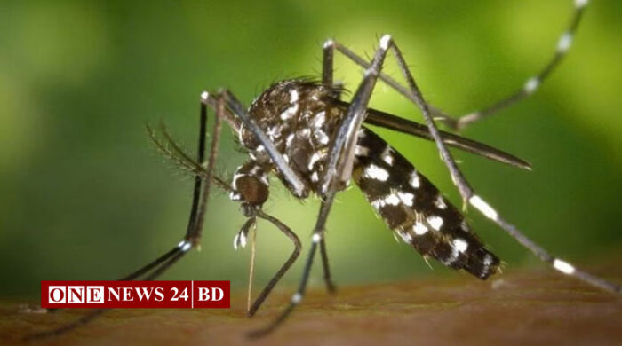ডেঙ্গুতে ৫ মৃত্যু, হাসপাতালে ৬২২