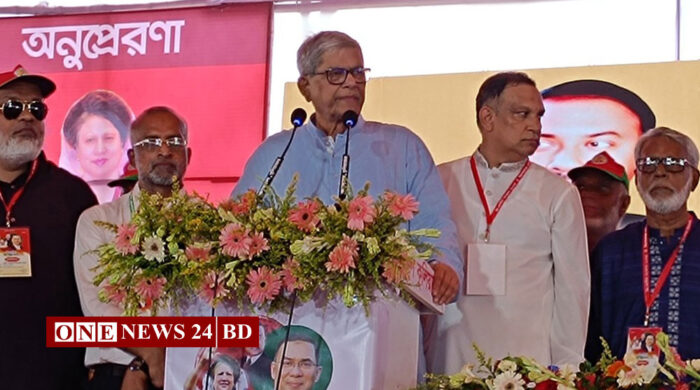 বিএনপি উড়ে এসে জুড়ে বসার দল না: মির্জা ফখরুল