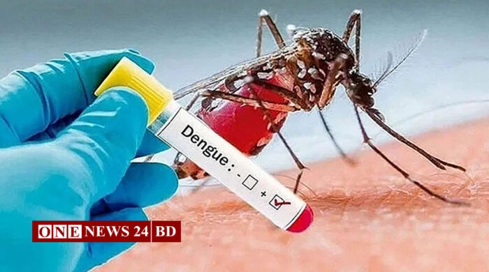 ডেঙ্গুতে একদিনে ১২ জনের মৃত্যু, হাসপাতালে ভর্তি ৭৪০