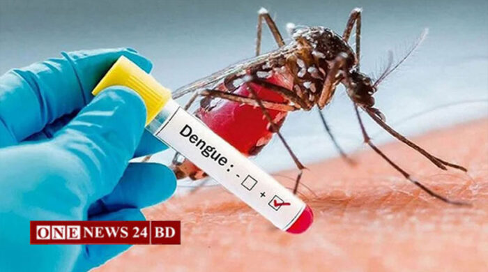 ডেঙ্গুতে আরও ৩ জনের মৃত্যু, হাসপাতালে ভর্তি ৬৮৫