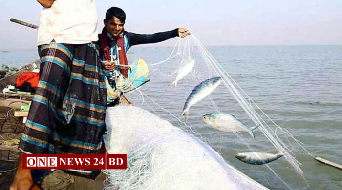 ৪ অক্টোবর থেকে ২২ দিন ইলিশ ধরা বন্ধ