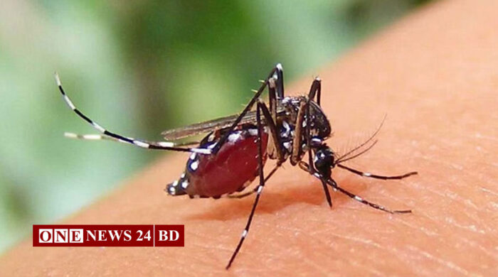 ডেঙ্গু রোগী ৫০ হাজার ছাড়াল
