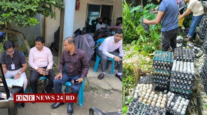 কিশোরগঞ্জে দুই লাখ পচা ডিম ধ্বংস, তিন লাখ টাকা জরিমানা