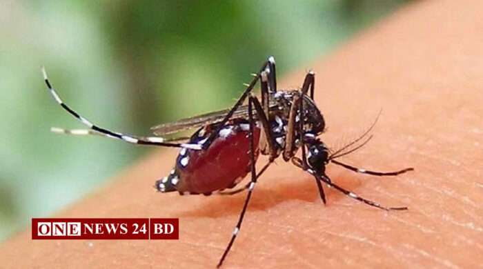 ডেঙ্গুতে আরও ৫ মৃত্যু