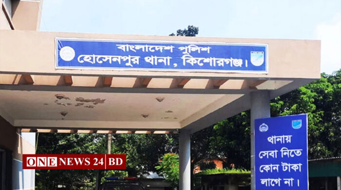 বিদ্যুৎস্পৃষ্ট বড় ভাইকে বাঁচাতে গিয়ে ছোট ভাইসহ দুইজনের মৃত্যু