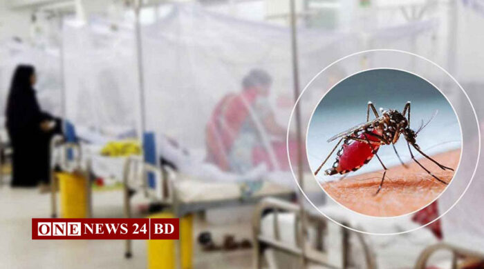 ডেঙ্গুতে এক দিনে ১০ জনের মৃত্যু