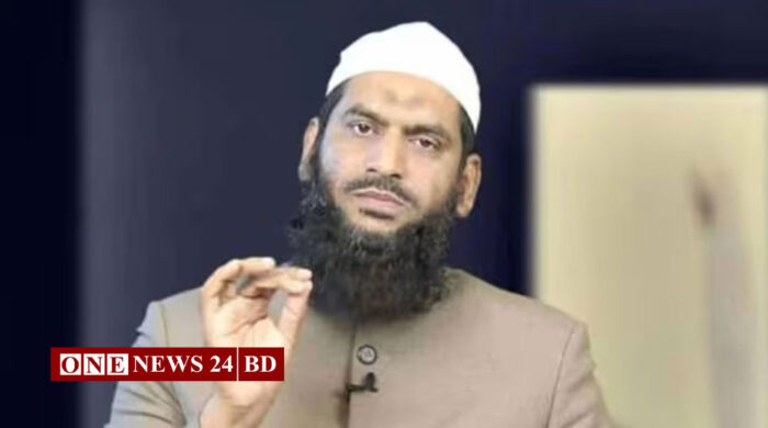 বাউলদের ওপর হামলা নিয়ে মির্জা ফখরুলের বক্তব্যে মামুনুল হকের উদ্বেগ