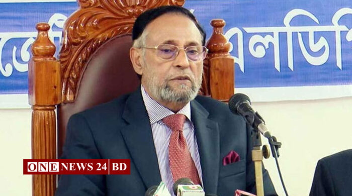 এককভাবে ভোট করার ঘোষণা এলডিপির