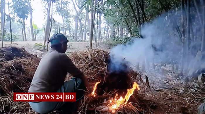 সূর্য যেন ছুটি নিয়েছে: ঠান্ডায় হোসেনপুরে বিপর্যস্ত জনজীবন