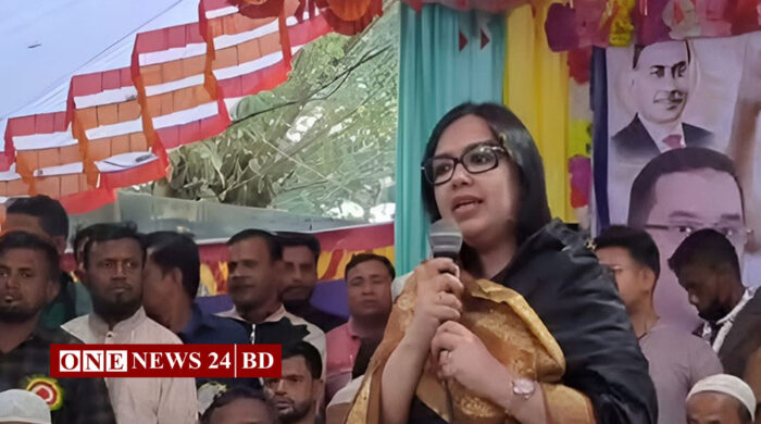 নির্বাচনে লড়াইয়ের ঘোষণা রুমিন ফারহানার