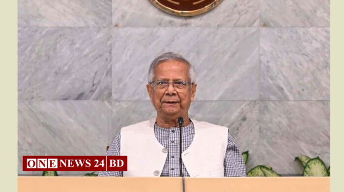 ইংরেজি নববর্ষ উপলক্ষ্যে বাংলাদেশিসহ বিশ্ববাসীকে প্রধান উপদেষ্টার শুভেচ্ছা
