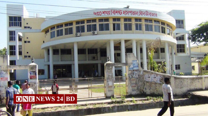 শ্রীমঙ্গলে অটোরিকশা ও মাইক্রোবাসের সংঘর্ষ, নিহত ৩