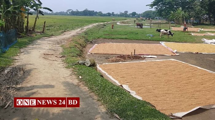 স্বাধীনতার ৫৫ বছরেও সড়ক পাকা হয়নি, ক্ষুব্ধ তাড়াইল উপজেলার শিবপুর গ্রামবাসী