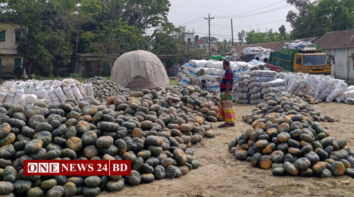 তাড়াইলে জ্বালানি সংকট: পরিবহন ব্যাহত, আড়তে পড়ে রয়েছে মিষ্টি কুমড়ার স্তুপ