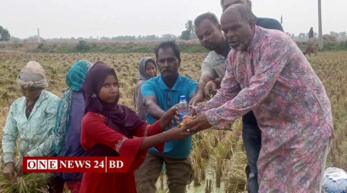 নওগাঁর বদলগাছীতে যুবদলের উদ্যোগে বৃক্ষরোপণ ও কৃষকদের মাঝে শুকনা খাবার বিতরণ