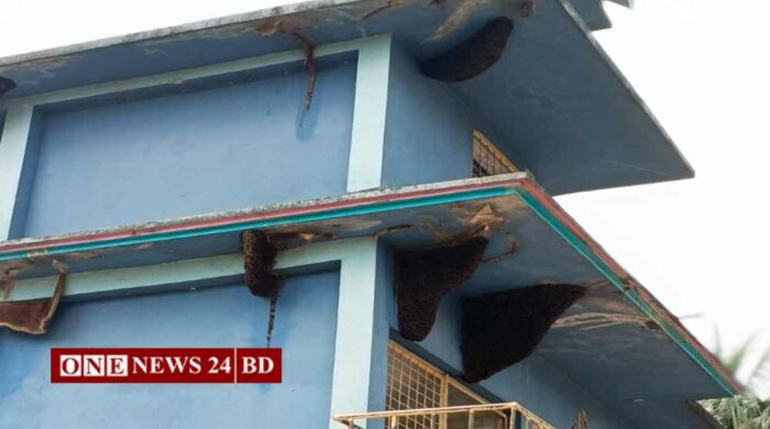 তাড়াইলে মৌচাকে ঘেরা সহিলাটী জামে মসজিদ 