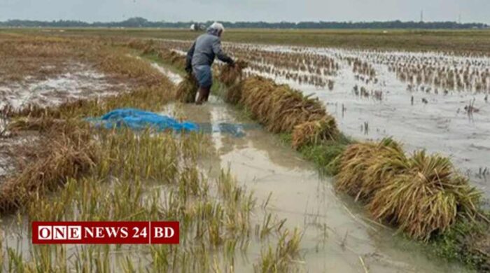 তিন জেলার হাওর সংলগ্ন নিম্নাঞ্চলে বন্যা পরিস্থিতি নিয়ে সতর্কবার্তা