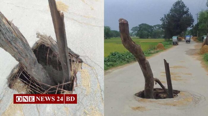 ঠাডারকান্দা বাজার সংলগ্ন ভাঙা কালভার্ট যেন মরণফাঁদ, চরম দুর্ভোগে হাজারো মানুষ