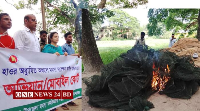 তাড়াইলে সাড়ে ৪ লাখ টাকার অবৈধ জাল জব্দ, আগুনে পুড়িয়ে ধ্বংস