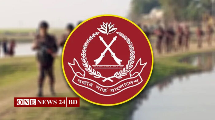 সীমান্তে লাইট বন্ধ করে পুশ ইন: দিনাজপুরে আটক একই পরিবারের ৪ জন