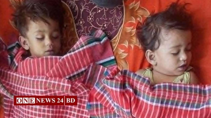 মিঠামইনে পুকুরে ডুবে দুই ভাই–বোনের মৃত্যু