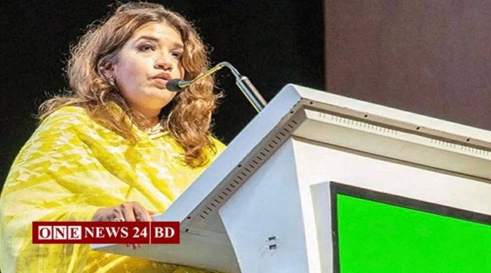 শেখ হাসিনাকে ফেরানোর চেষ্টায় কূটনৈতিক ঘাটতি নেই: পররাষ্ট্র প্রতিমন্ত্রী