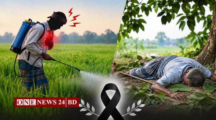 পাকুন্দিয়ায় পৃথক ঘটনায় ২ কৃষকের মৃত্যু