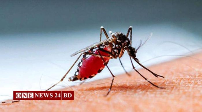 সেপ্টেম্বরের ২৫ দিনে ডেঙ্গুতে ১১৪ মৃত্যু