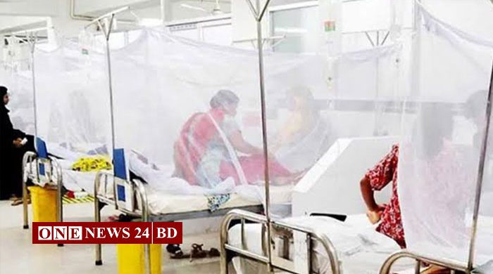 ডেঙ্গুতে মৃত্যু ৩০০ ছুঁইছুঁই